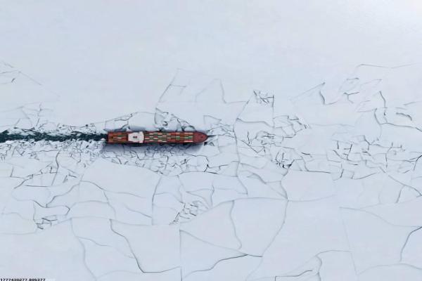 户外体育项目儿童中班(图1)