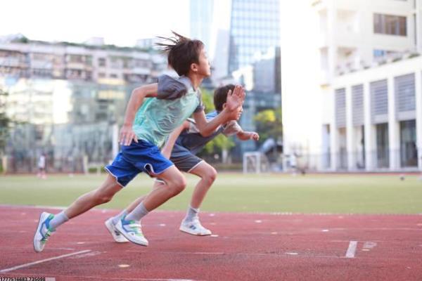 两路体育馆有哪些培训(图1)